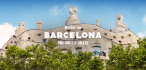 nimu-barcelona-la-pedrera-gaudi